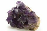 Deep Purple Amethyst Cluster - Congo #333250-2